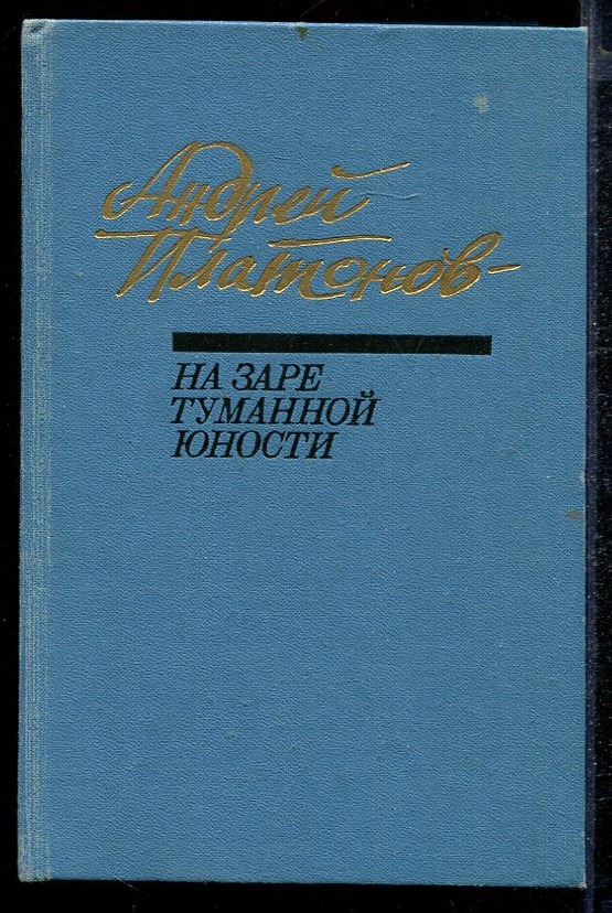 На заре туманной юности краткое содержание