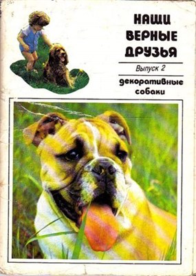 Наши верные друзья. Декоративные собаки | Набор открыток. - фото 117441