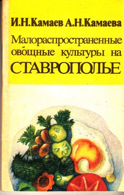 Малораспространенные овощные культуры на Ставрополье - фото 120054
