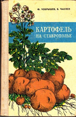 Картофель на Ставрополье - фото 120137