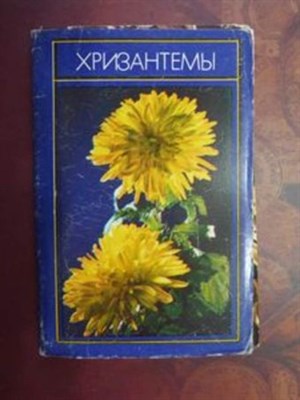 Хризантемы - фото 120462