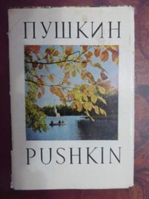 Город Пушкин - фото 120466