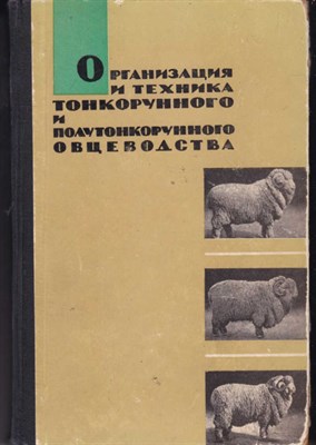 Организация и техника тонкорунного и полутонкорунного овцеводства - фото 121335