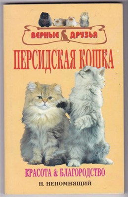 Персидские кошки - фото 123440