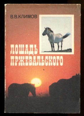 Лошадь Пржевальского - фото 131371