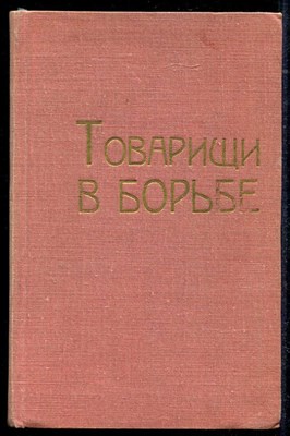 Товарищи в борьбе  | Письма соратников В.И. Ленина. 1896-1900 г.г. - фото 135779