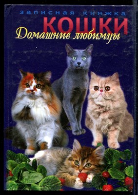 Домашние любимцы - кошки - фото 164964
