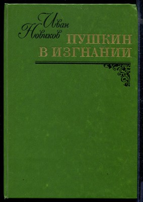 Пушкин в изгнании - фото 169368