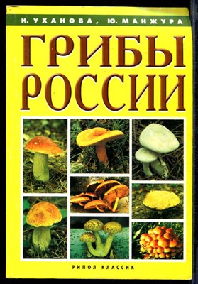 Грибы России - фото 169375