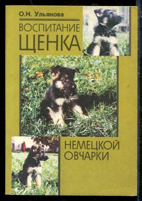 Воспитание щенка немецкой овчарки - фото 173807