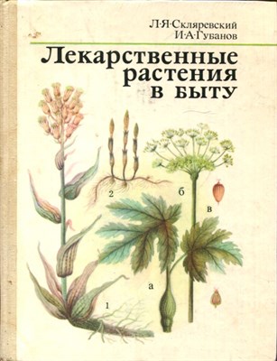 Лекарственные растения в быту - фото 193710