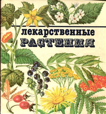 Лекарственные растения - фото 193736