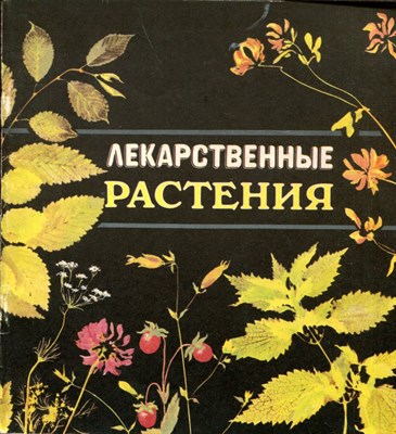 Лекарственные растения - фото 193738