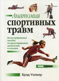 Анатомия спортивных травм - фото 194533