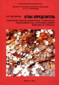Полтаруха О. - Атлас определитель усоногих раков (Cirripedia Thoracica) надсемейства Chthamaloidea - 2006 - фото 195419