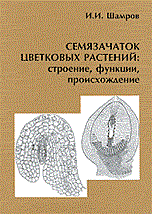 Семязачаток цветковых растений: строение, функции, происхождение - фото 195424