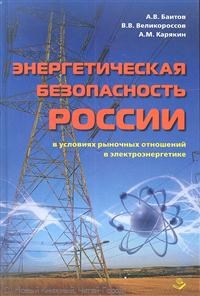 Баитов - Энергетическая безопасность России в условиях рыночных отношений в электроэнергетике - 2012 - фото 196087