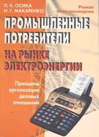 Промышленные потребители на рынке электроэнергии. Принципы организации деловых отношений - 2010 - фото 196546