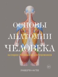 Основы анатомии человека Наглядное руководство для художников - фото 197541