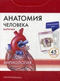 Анатомия человека КАРТОЧКИ Ангиология Русские и латинские названия анатомич. структур - фото 197971