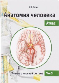 Сапин М. - Анатомия человека Атлас в 3-х тт Т3 Учение о нервной системе - 2019 - фото 197972