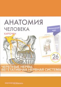 Анатомия человека КАРТОЧКИ Черепные нервы вегетативная нервная система - фото 197974