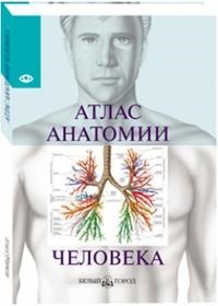 Самусев Р. - Атлас анатомии человека - 2021 - фото 198355