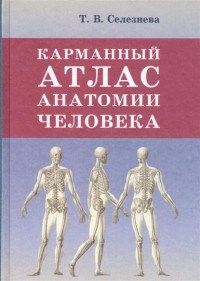 Селезнева Т. - Карманный атлас анатомии человека (офсет) - 2022 - фото 198548