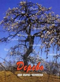 Дерево Метафорические карты - 2018 - фото 199743