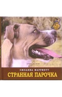 Странная парочка - фото 200138