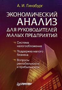 Гинзбург - Экономический анализ для руководителей малых предприятий - 2007 - фото 205665