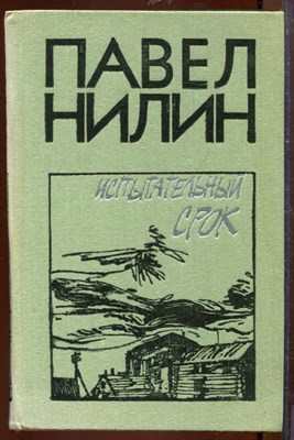 Испытательный срок - фото 207473