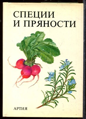Специи и пряности - фото 207680