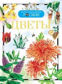 Цветы Детская энциклопедия - фото 208268