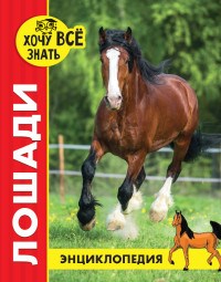 Энциклопедия Хочу все знать Лошади (красн.) - фото 208279