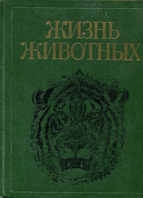 Жизнь животных | В семи томах. Том 7. Млекопитающие. - 1989 - фото 219485