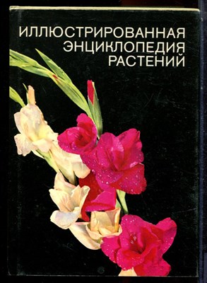Новак Ф.А. - Иллюстрированная энциклопедия растений - 1987 - фото 223655