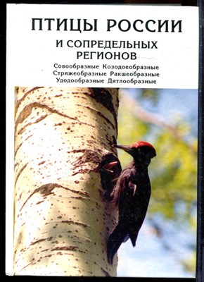 Птицы России и сопредельных регионов | Совообразные, козодоеобразные, стрижеобразные, ракшеобразные, удодообразные, дятлообразные. - 2005 - фото 223942