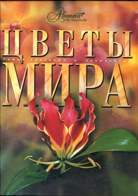 Цветы мира - 2007 - фото 224877