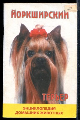 Стрекалова Э.Е. - Йоркширский терьер - 2000 - фото 226536