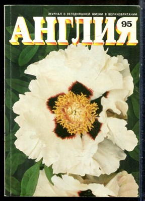 Англия 95 | Журнал о сегодняшней жизни в Великобритании. - 1985 - фото 227798