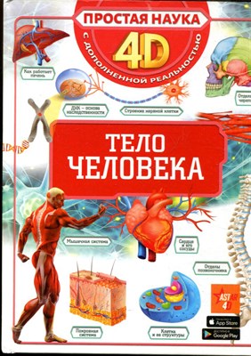 Спектор А.А. - Тело человека - 2021 - фото 228415