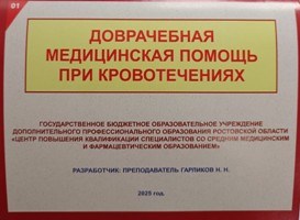 ГАРЛИКОВ Н. Н. - Доврачебная медицинская помощь при кровотечениях - 2026 D014460 - Р