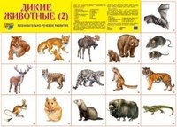 Шорыгина Т. А. - Демонстрационный плакат Дикие животные-2 - фото 230483
