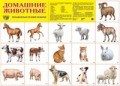 Шорыгина Т. А. - Демонстрационный плакат Домашние животные - фото 230484