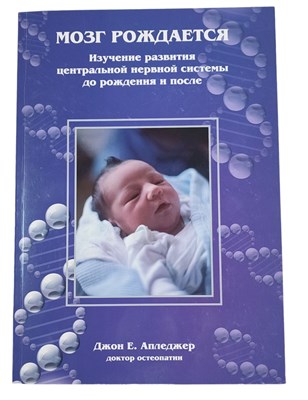 Апледжер Джон И. - Мозг рождается - 2019 - фото 231291
