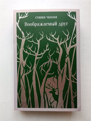 Стивен Чбоски. - Воображаемый друг. | Магистраль. Главный трен. - 2022 - фото 232603