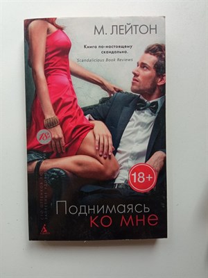 Мишель Лейтон. - Плохие парни. Книга 2. Поднимаясь ко мне. | Сто оттенков любви. Запретные удовольствия. - 2014 - фото 234613