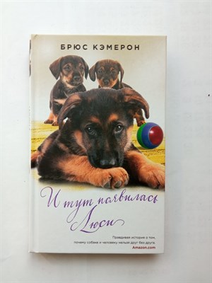Брюс Кэмерон. - И Тут появилась Люси. | Тот Кто не Предаст.Люди и их питомцы. - 2016 - фото 238671