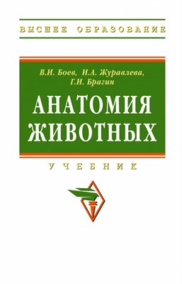 Боев В.И. и др. - Анатомия животных Учебник Бакалавриат - 2020 - фото 240886